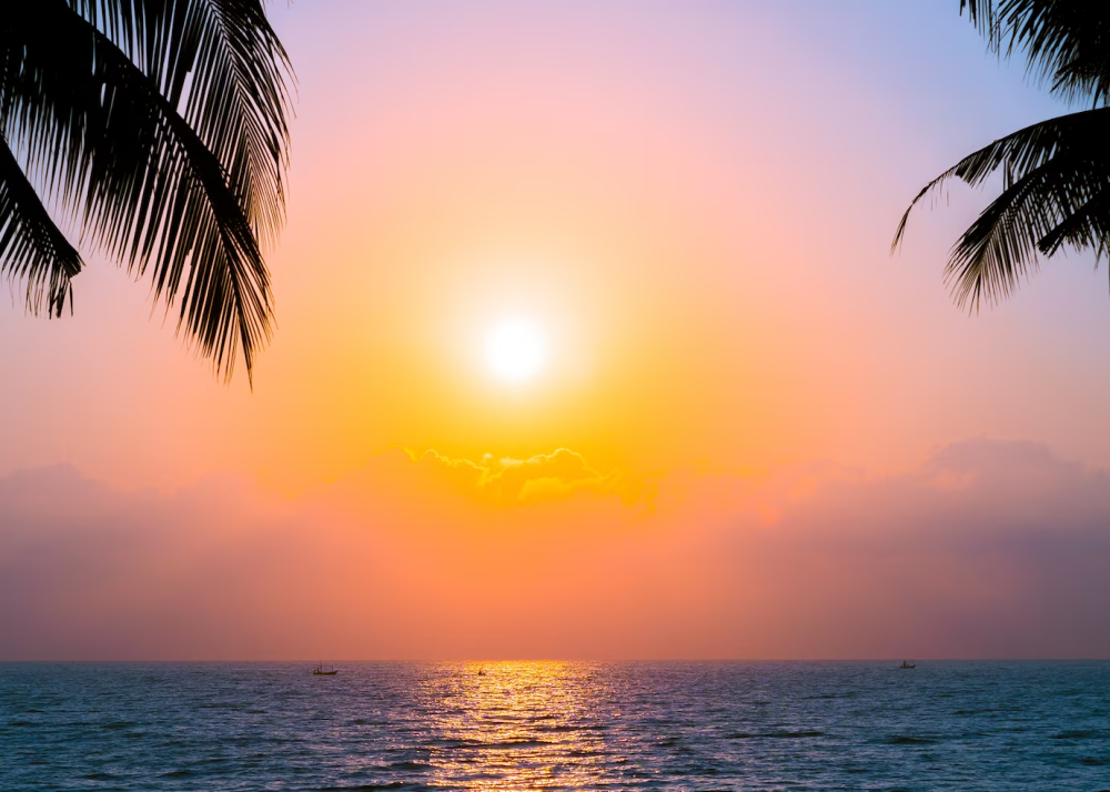 Empresa de Consultoria Ambiental 22